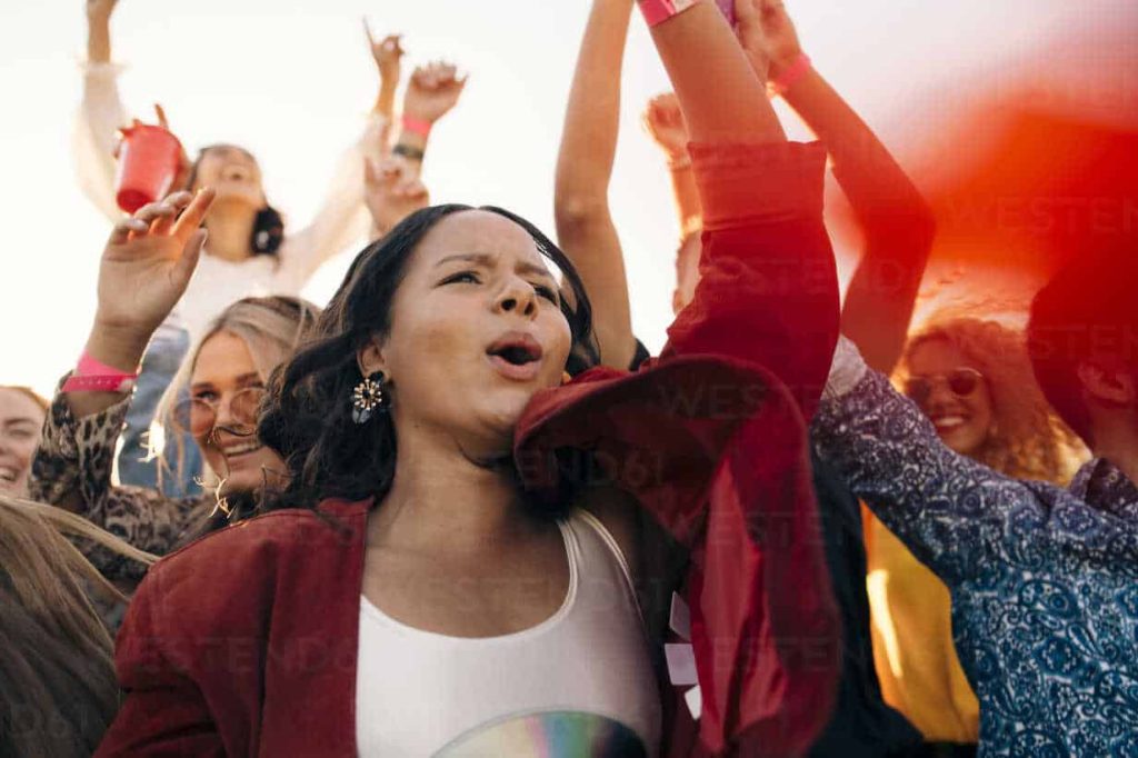 Photo of people enjoying concert for detailed audience demographics