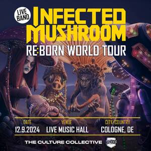 Infected Mushroom | Live in Cologne photo