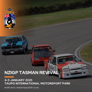 NZIGP Tasman Revival photo