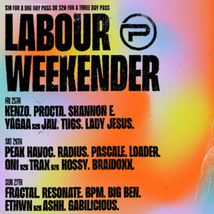 Pointers Presents: The Labour Weekender