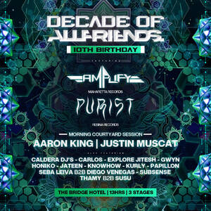 DECADE OF ALLFRIENDS FT. AMPLIFY & PURIST | 13 HR | 3 STAGES photo