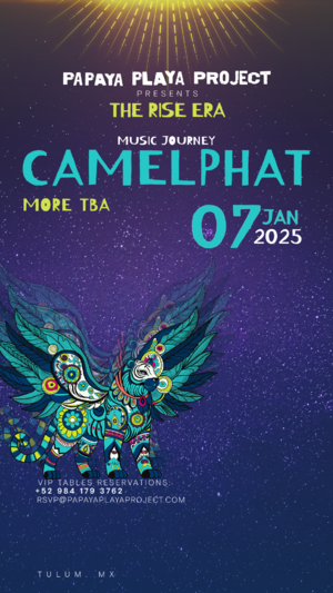 PPP PRESENTS🙏🏽THE RISE ERA 🙏🏽Music Journey By @CAMELPHAT photo