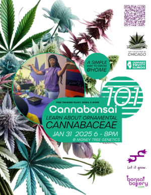 Cannabonsai 101 @ Money Tree Genetics + Cannabis Equity Coalition photo