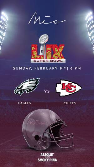 SUPER BOWL LIX photo