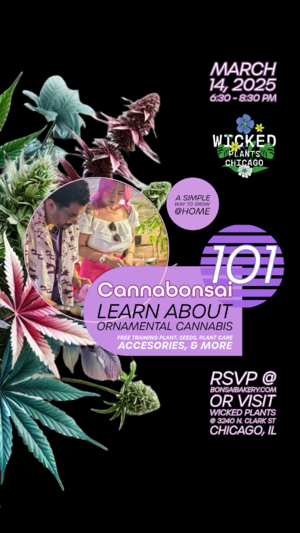 Cannabonsai 101 @ Wicked Plant Shop photo