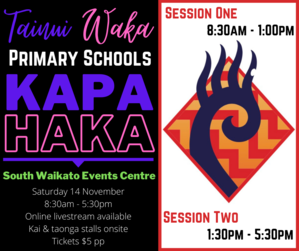 Tainui Waka Primary Schools Kapa Haka