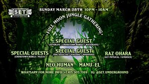 Tulum Full Moon Jungle Gathering with Very Special Guests