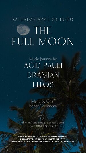 The Full Moon - Music Journey by Acid Pauli